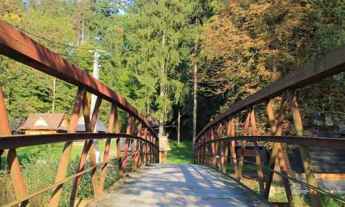 Łukasz Bielski - The bridge over the Olza River in the Municipal Wood