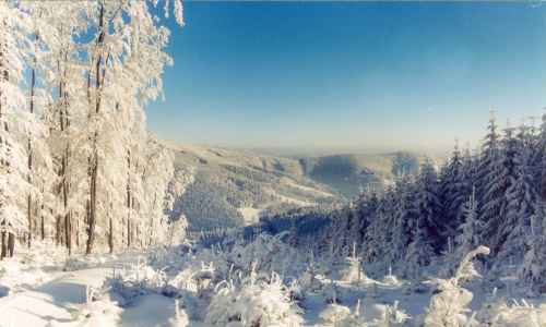 Jiří Jurzykowski - Snow-covered trees on the peaks of Jablunkov